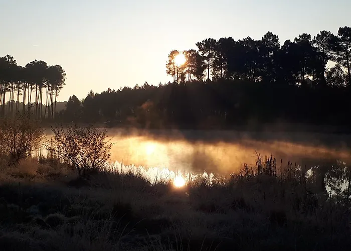 Les meilleurs hôtels à Captieux